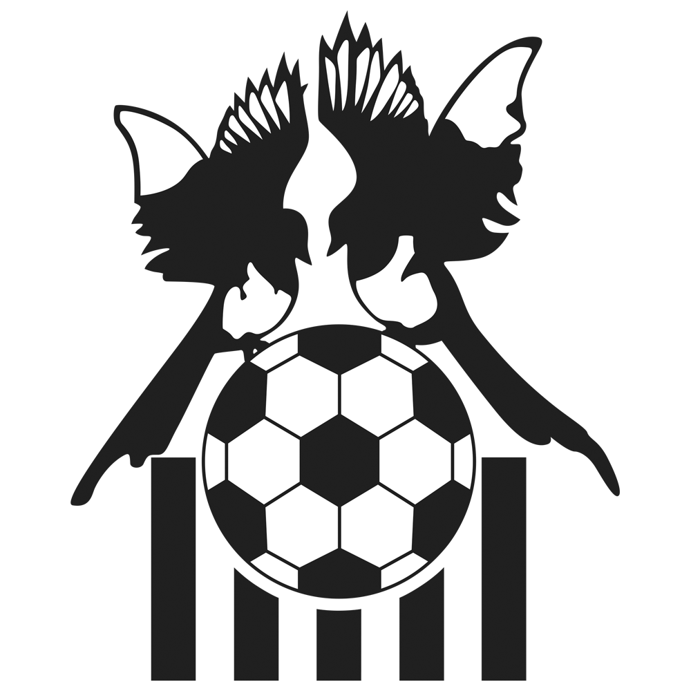 Notts County Trademarked Crest 94-02